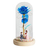 LED Glass Dome LED Enchanted Galaxy Rose with Fairy Lights in Dome
