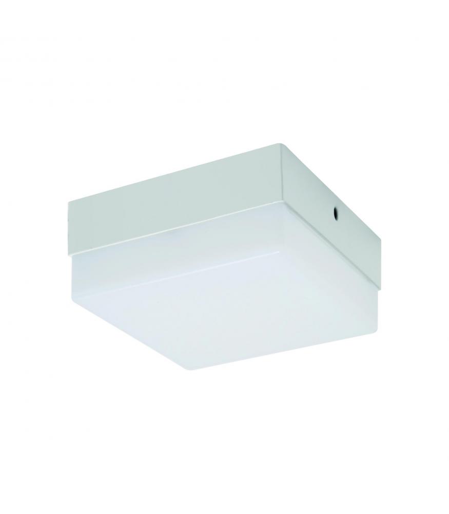 LED ROBIN D 12W NW