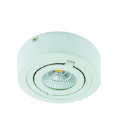 COB LED IGOR C et D 6W et 9W NW