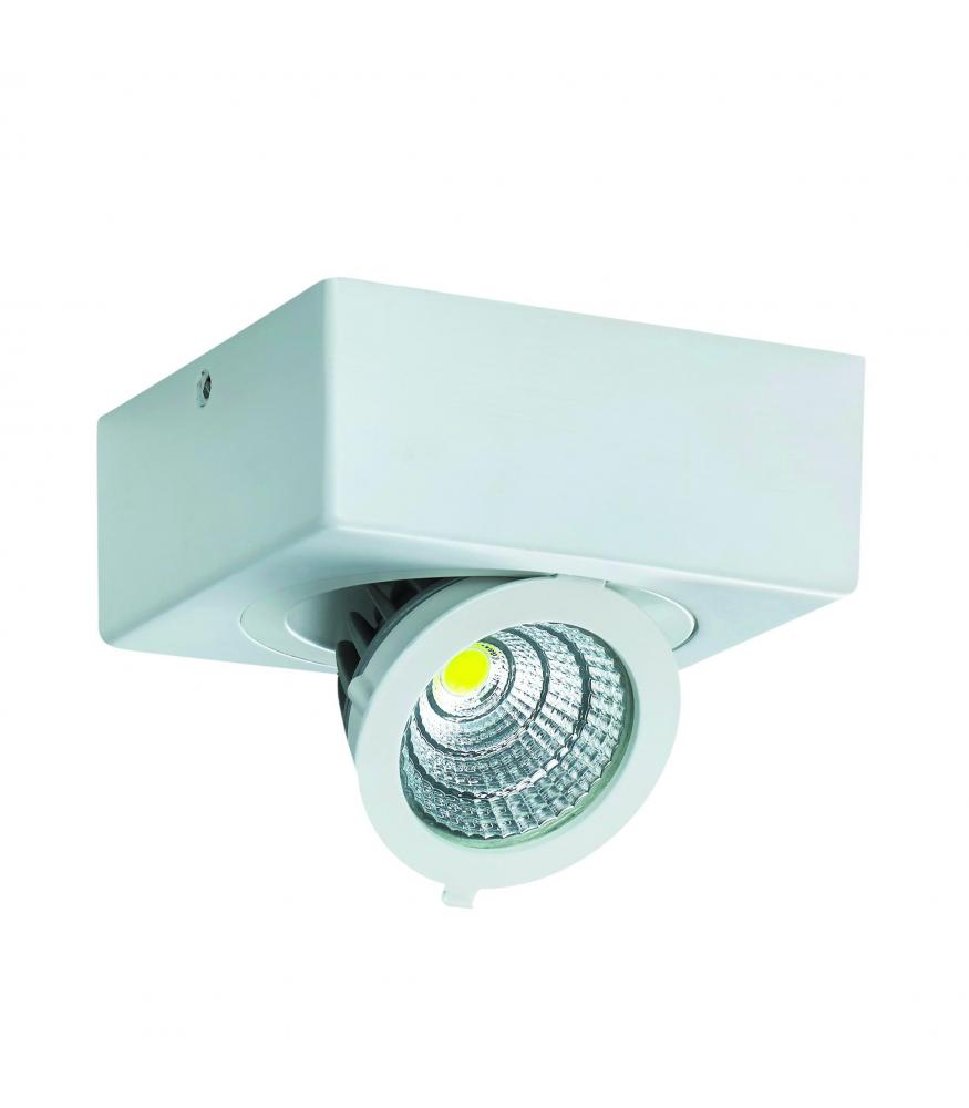 COB LED IGOR D 6W bela SZ