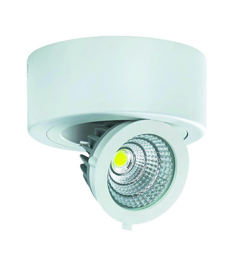 COB LED IGOR C 6W blanc NW