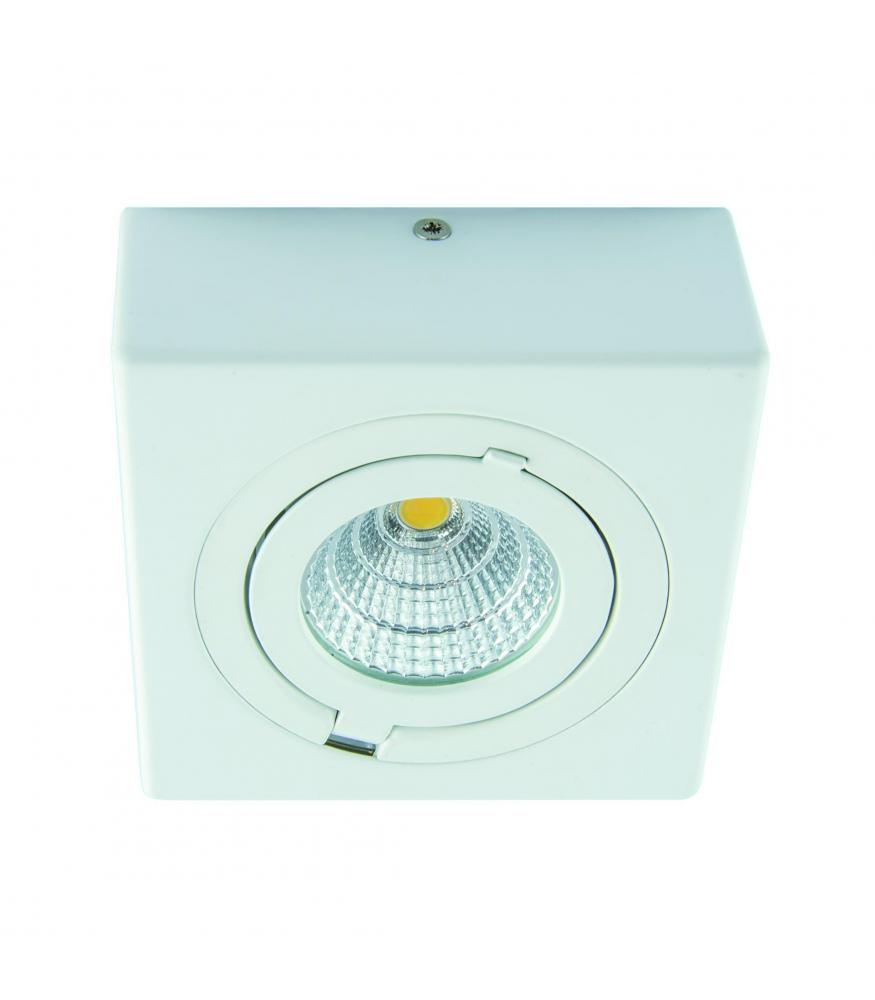 COB LED IGOR D 6W bela SZ