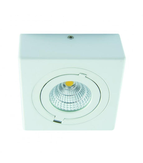 COB LED IGOR D 6W blanc NW