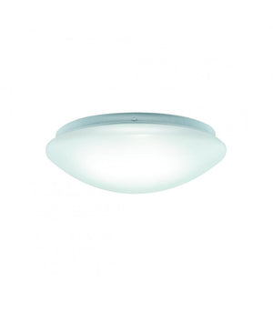 LED LEON C Water-Resistant Light Fixture