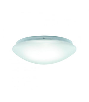 LED LEON C Water-Resistant Light Fixture