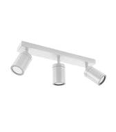 TENOR GU10 Wall or Ceiling Lighting Fixture