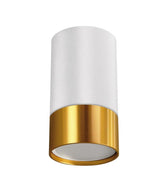 Ceiling luminaire PUZON DWL GU10 golden