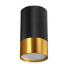 Ceiling luminaire PUZON DWL GU10 black / gold
