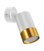 Wall and ceiling luminaire PUZON SPT GU10 white / gold