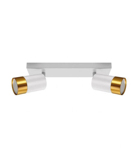 Wall and ceiling luminaire PUZON SPT GU10 2L white / gold