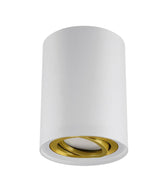 Ceiling luminaire HARY C GU10 golden