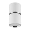 Ceiling luminaire DIOR DWL GU10 white / chrome
