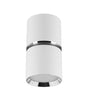 Ceiling luminaire DIOR DWL GU10 white / chrome