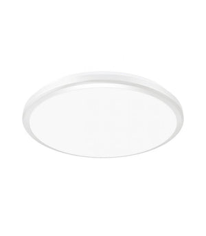 Ceiling LED luminaire PLANAR 24W NW silver, dustproof, waterproof