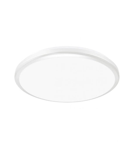 Ceiling LED luminaire PLANAR 24W NW silver, dustproof, waterproof