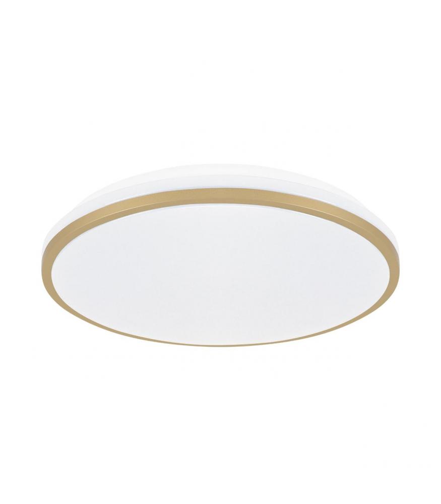 Ceiling LED luminaire LINUS C 24W NW