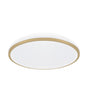 Ceiling LED luminaire LINUS C 24W NW