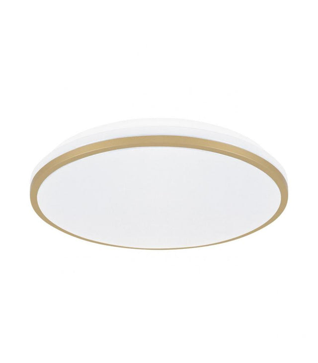 Ceiling LED luminaire LINUS C 24W NW