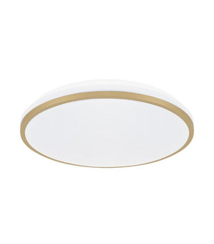 Ceiling LED luminaire LINUS C 24W NW