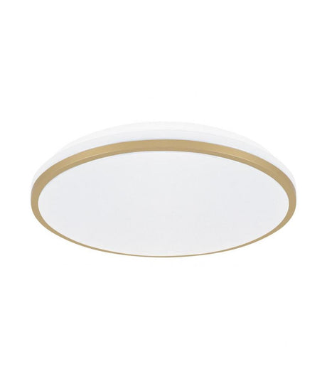 Ceiling LED luminaire LINUS C 24W NW