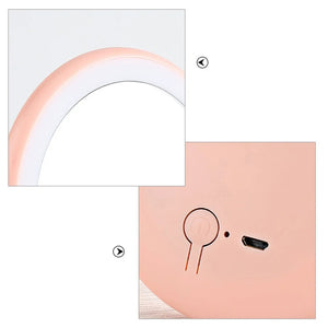 Miroir de maquillage LED de poche